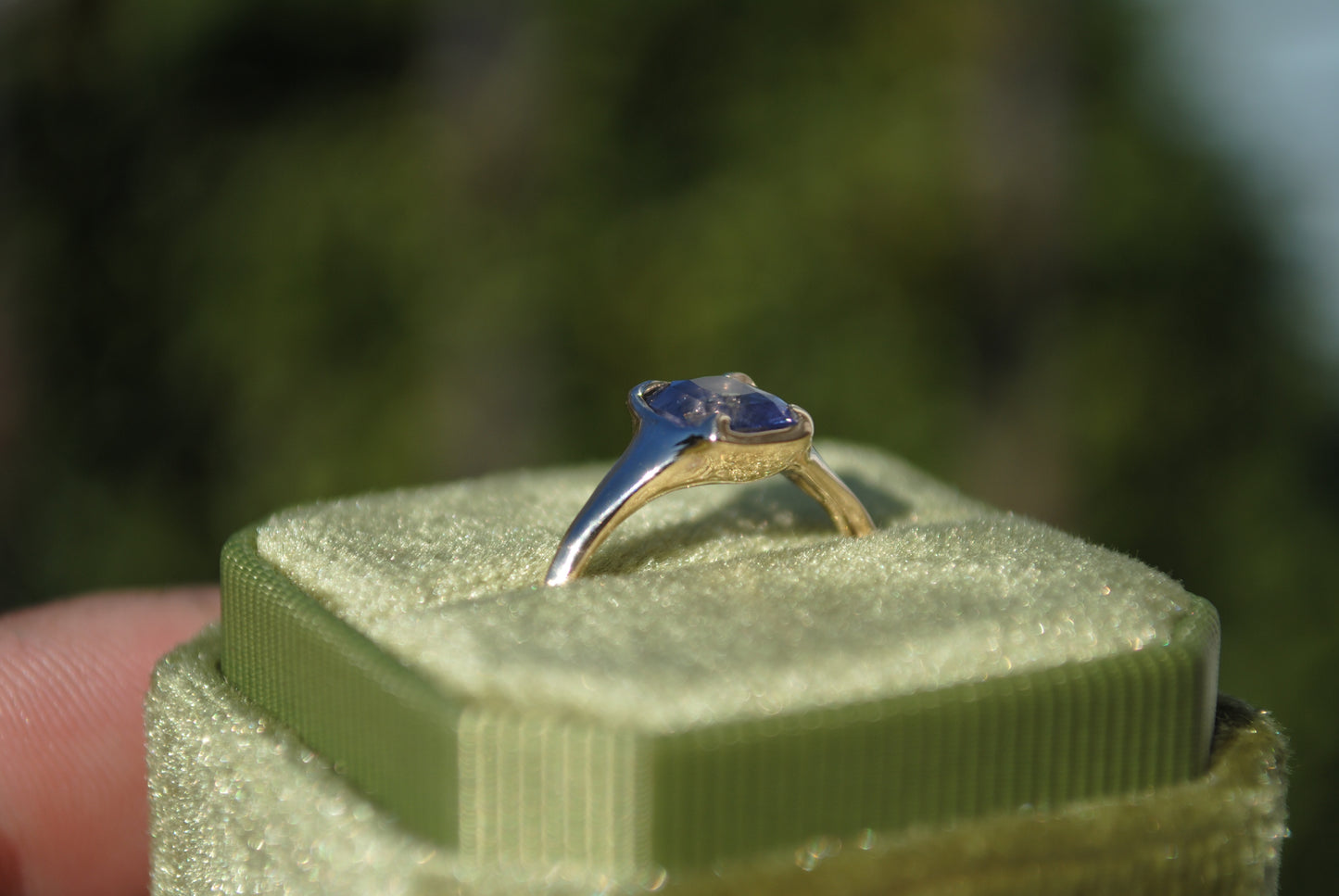 organic prong solitaire - violet sapphire