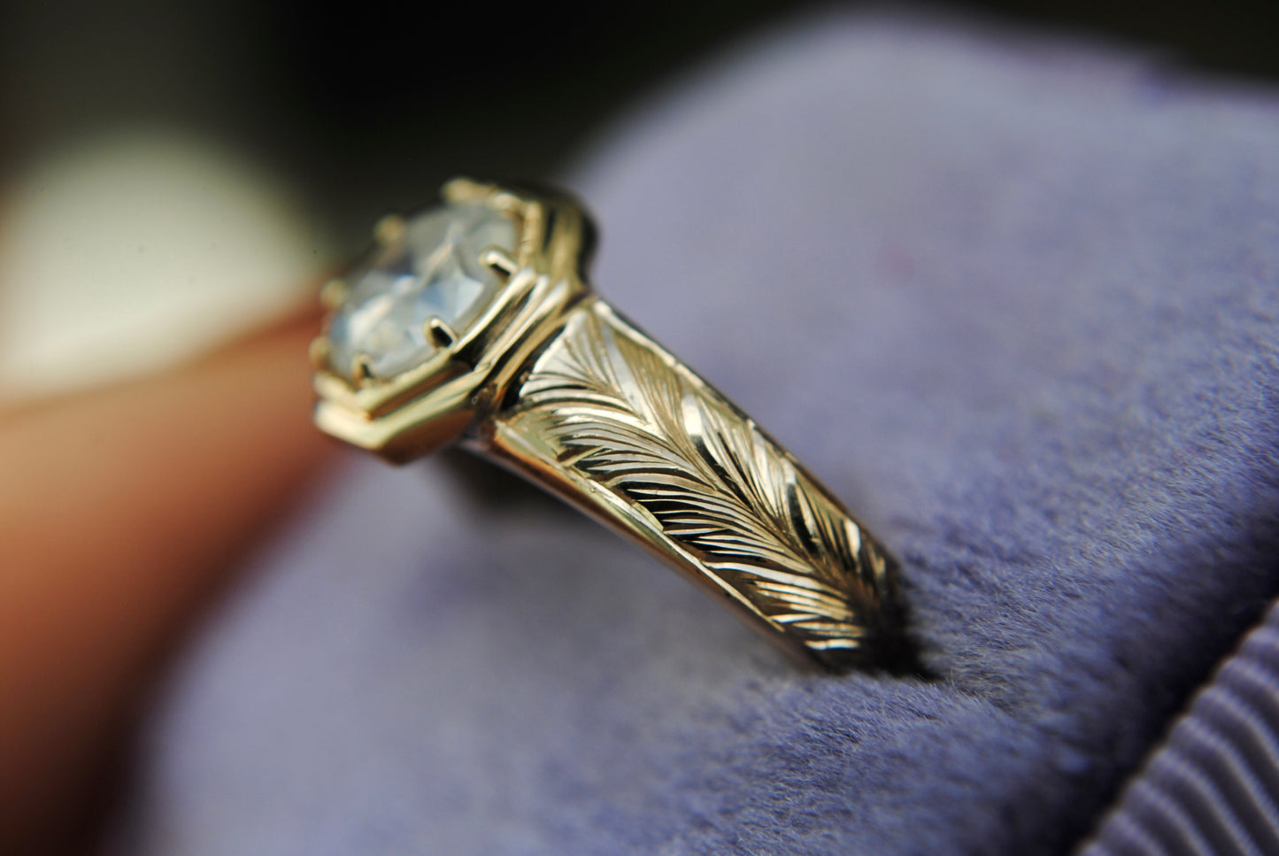 Gold ring with feather design on a blue cushion